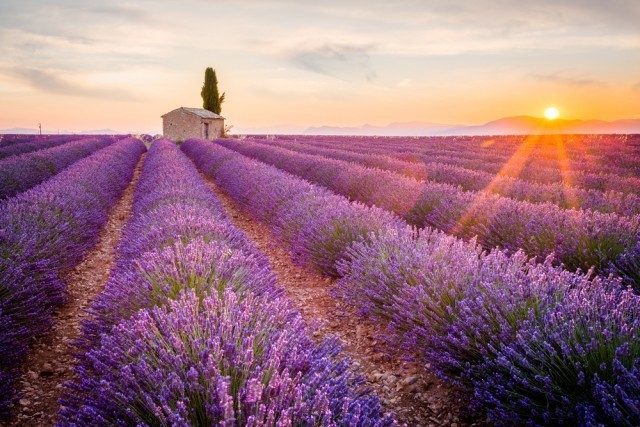Sommerhus-Provence